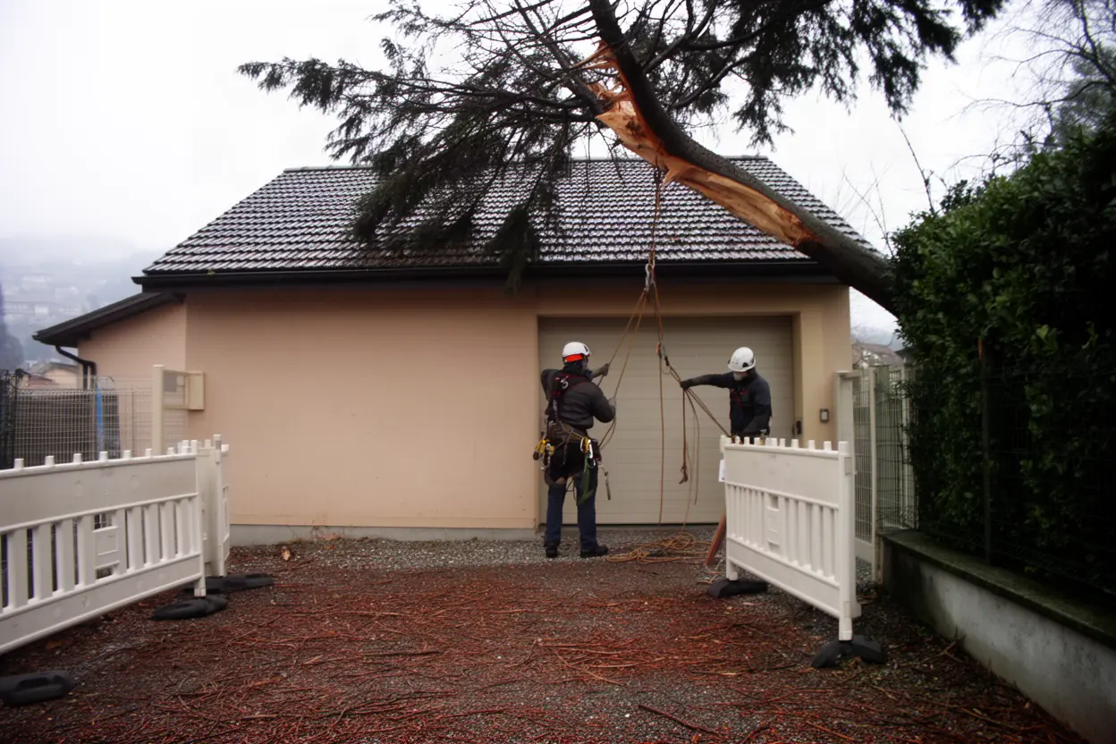 Élagueur sécurisant une branche cassée après tempête à Argonay